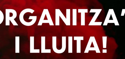 Participa en la candidatura de la CGT al comitè d’empresa